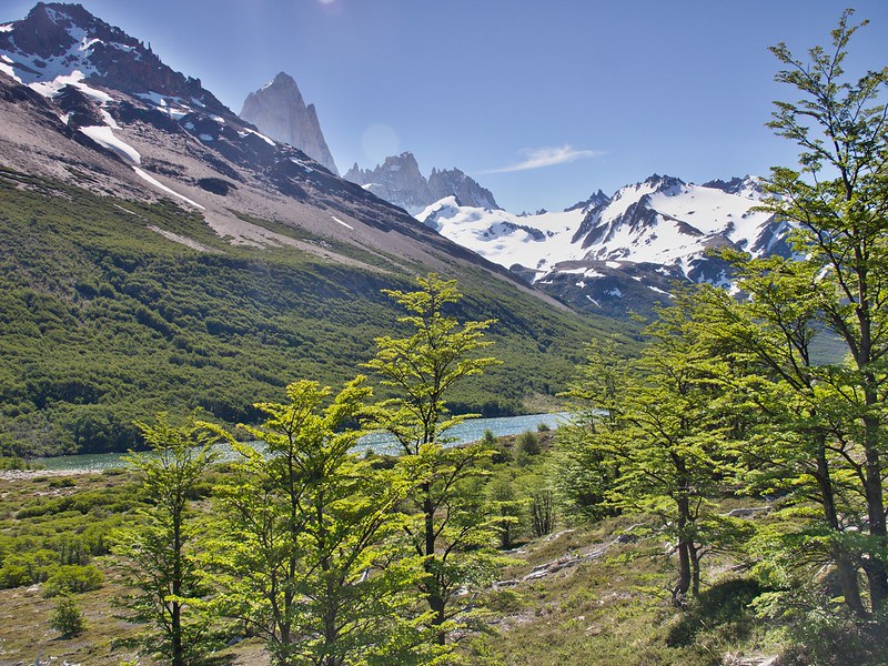 Por la Patagonia ARGENTINA - Blogs of Argentina - Las lagunas de El Chaltén, en tirantes (15)