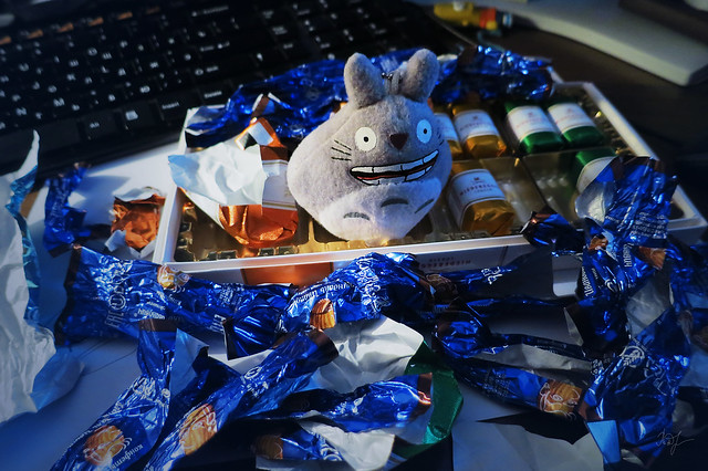 Day #62: totoro ate candy