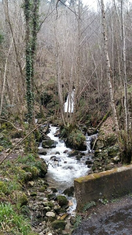 Cascada del Nonaya (Salas) - Descubriendo Asturias (22)