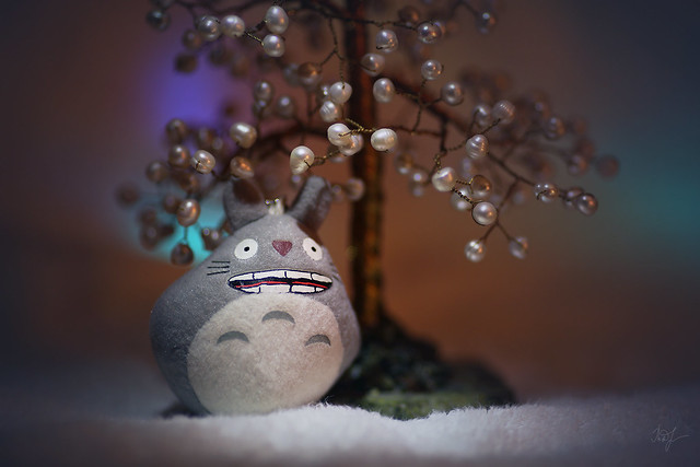 Day #90: totoro walks in a magical forest
