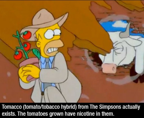 14 'The Simpsons' Facts