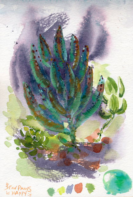 Sketchbook #95: My Succulents