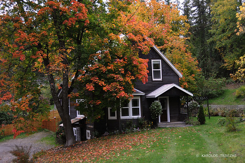 autumn red house canada tree fall fairytale herbs britishcolumbia branches cottage lawn foliage nakusp westkootenay