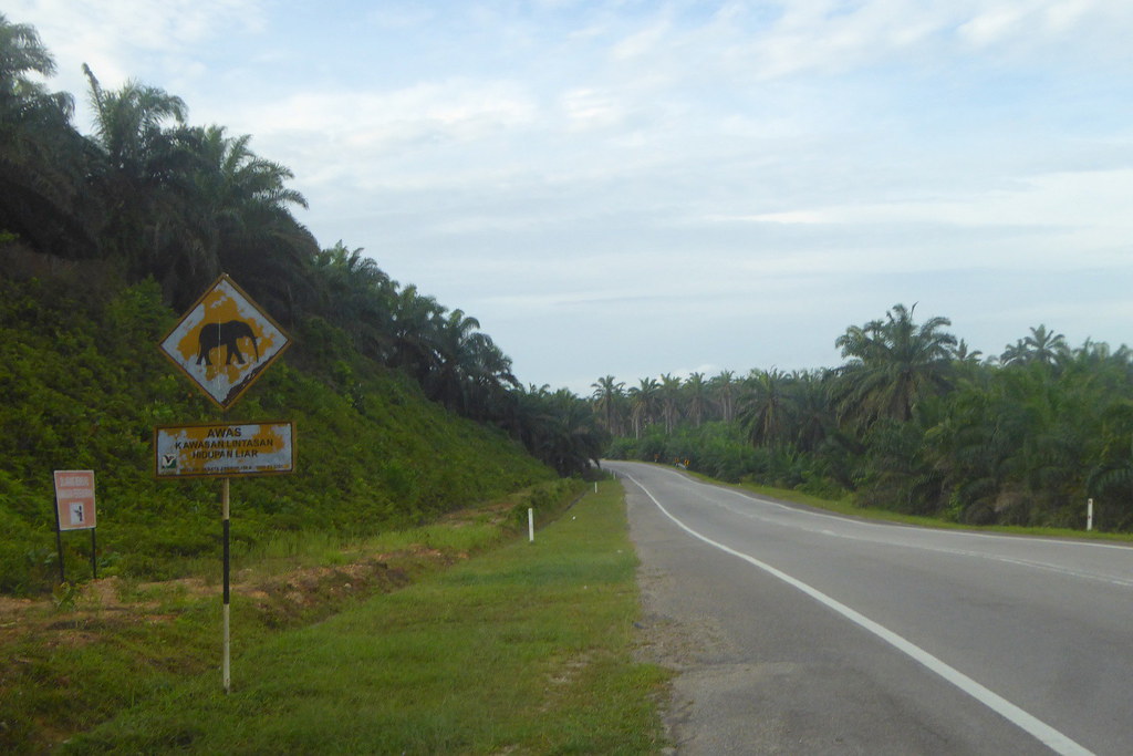 Elephant road sign