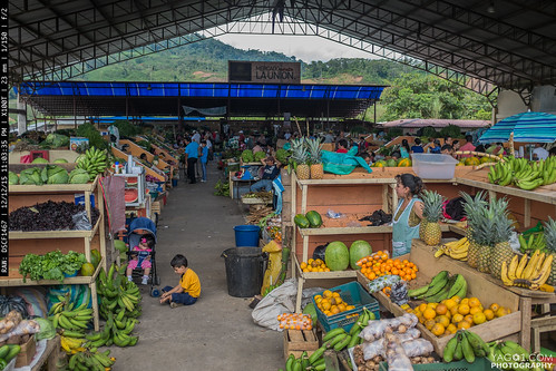 food southamerica fruit ecuador market fresh macas