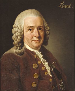 Carl von Linné 1707–1778