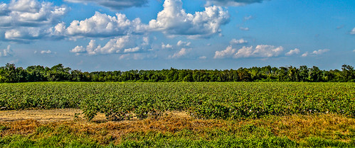 clouds georgia unitedstates coolidge thomascounty stateroute188 norththomascounty