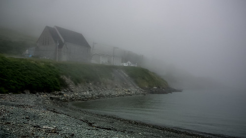 morning travel canada cold water fog landscape coast scenery canadian neblina seashore niebla ferryland newfoundlandandlabrador