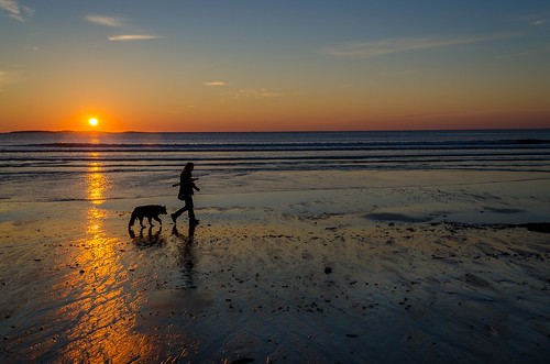 ocean morning dog sunlight beach water dawn photographer maine atlantic oldorchardbeach oob walkingthedog blindphotographer