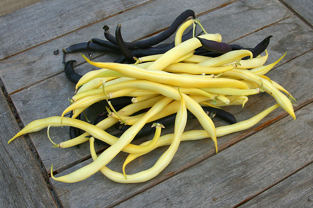 Yellow bush beans