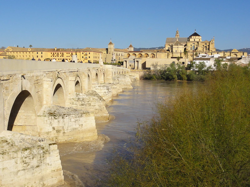 Recorriendo Andalucía. - Blogs de España - Córdoba capital (1): Judería, Alcázar de los Reyes Cristianos y callejeo. (6)
