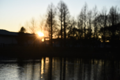 park sunset water sunshine japan pond scenery 日本 karuizawa nagano 夕暮れ 風景 長野 池 夕方 軽井沢 2015 長野県 yagasaki 矢ケ崎公園