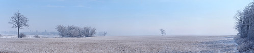 winter panorama snow ontario canada landscape frost hoarfrost gimp wellesleytownship waterlooregion mennonitefarm microsoftice oloneo olympusomdem5