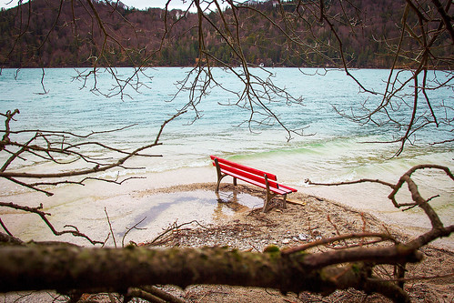 blue winter red lake tree salzburg green water bench landscape branch outdoor wave serene fuschlsee singflow