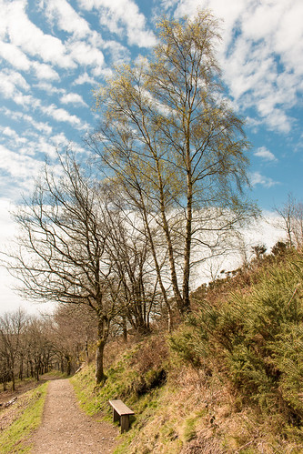 above uk england sky cloud tree green up leaves vertical bench landscape nationalpark outdoor seat devon gb dartmoor pathscaminhos