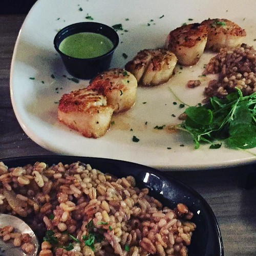 Ben's scallops and risotto.