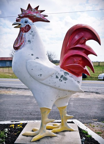 chicken restaurant southcarolina rooster belton duewest saylorscrossroads gritsgroceries