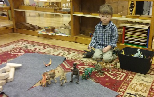 lining up the dinosaurs