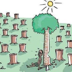 #Save #tree for your future