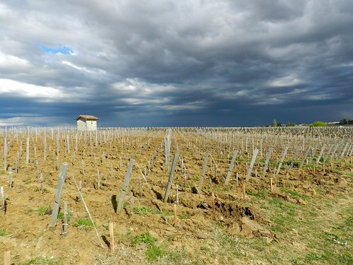 landscape paysage vignes vignoble cabane saintestèphe gironde médoc cieldorage