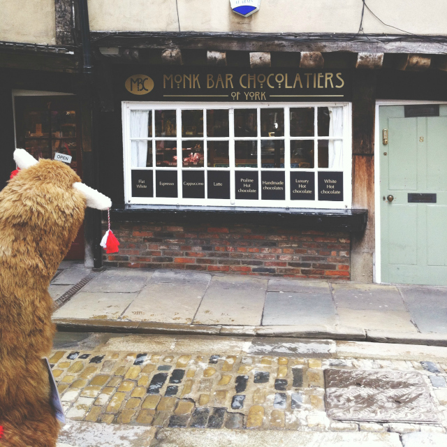 the shambles things to do in york