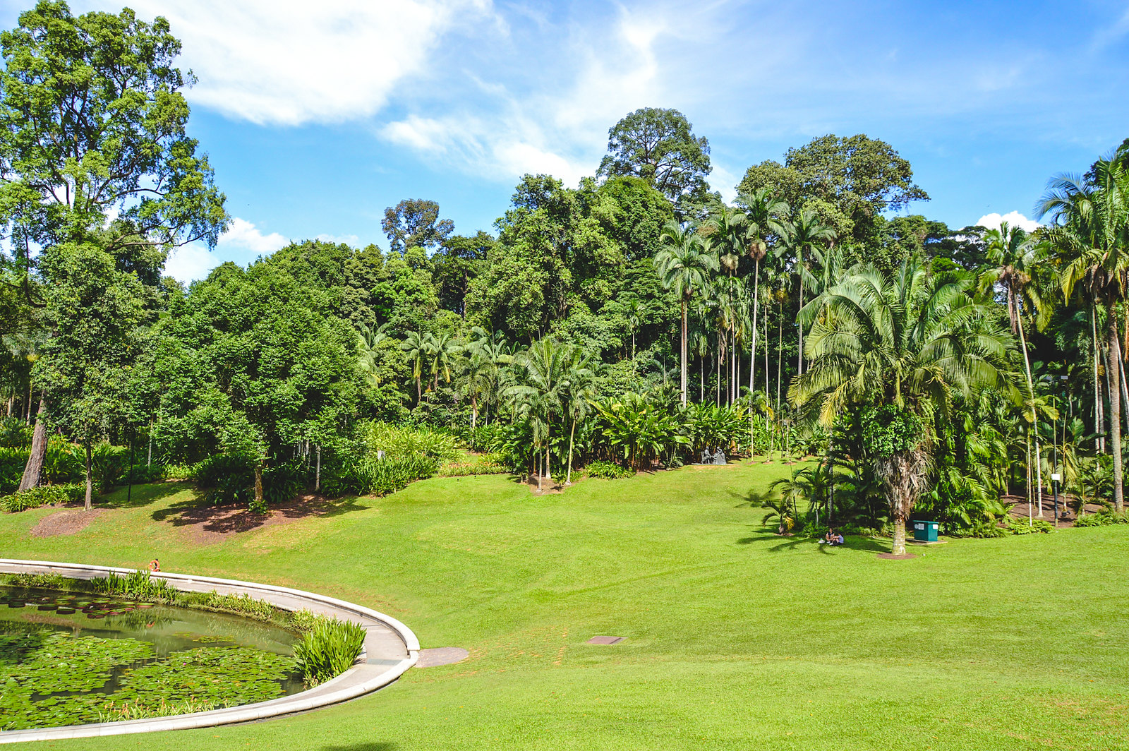 Singapore Botanic Gardens 2016
