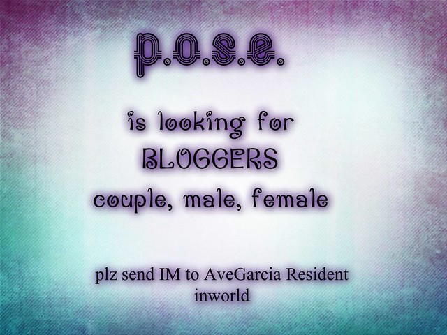seeking bloggers