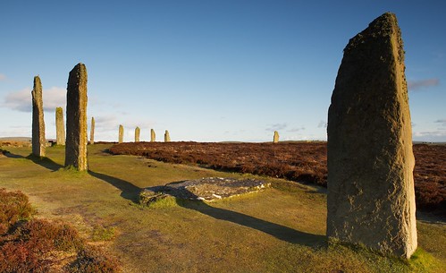 robin sunrise scotland orkney standingstones ringofbrodgar