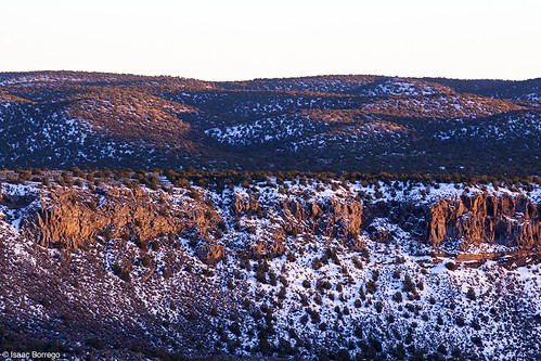 uploadedviaflickrqcom snow canyon walls sunset cliffs trees plants desert evening whiterockcanyon cajadelrioplateau newmexico canonrebelt4i winter whiterock unitedstates america