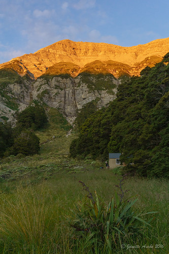 sunset newzealand mountain sony nz southisland tasman tramping tramp 2016 kahuranginationalpark tasmannz matiri mountainflax thehaystack 1000acreplateau 100acreplateau sonya6000 janetteasche larrikincreekhut matiriplateau