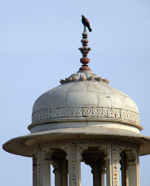 A bird on a temple of the Baby Taj in Agra, India