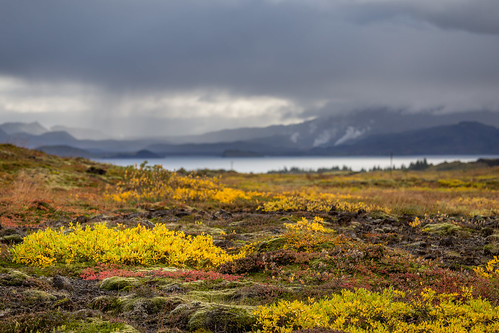 flowers sea beautiful clouds canon landscape island is iceland moody view bokeh south vista gras 70200 6d