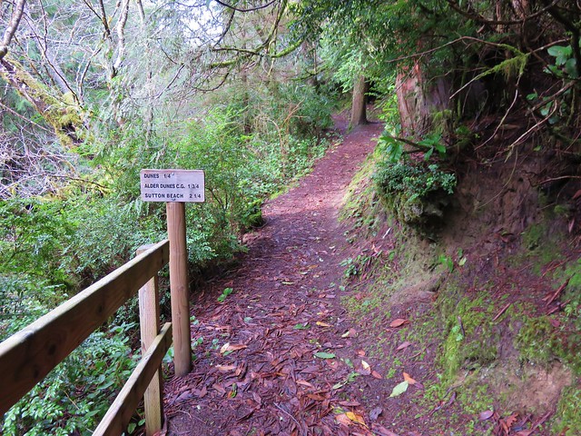 Sutton Creek Trail