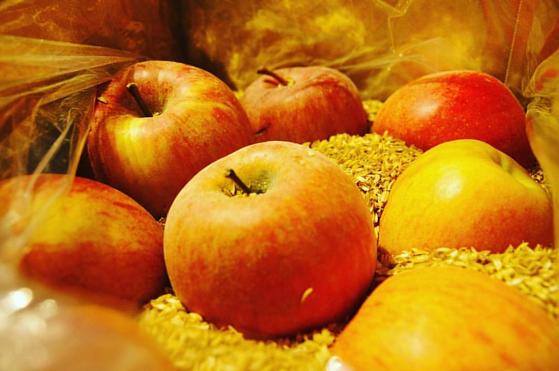 リンゴがきた！常備しておきたい。 #りんご #リンゴ #林檎