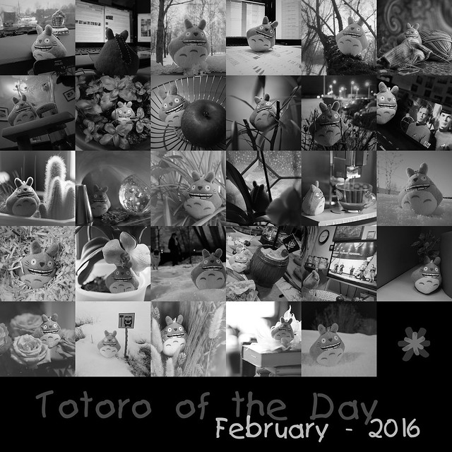 Totoro of the Day - 2016 - February