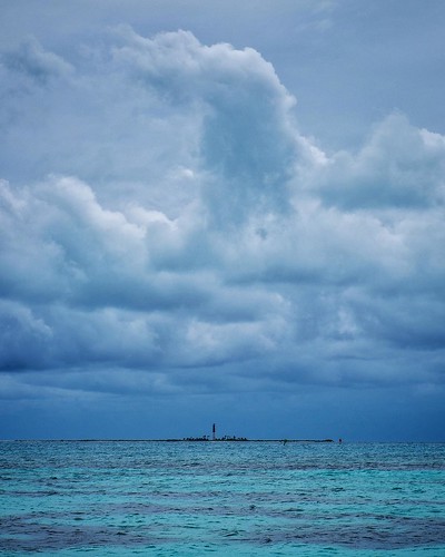 Nature imitating man. Or is it the other way around? The little speck in the distance is the lighthouse on Loggerhead Key in the Dry Tortugas National Park Dry Tortugas National Park (3 of 59) @drytortugasnps Shot with Fujifilm X-T1 and XF50-140mm F2.8 Ph