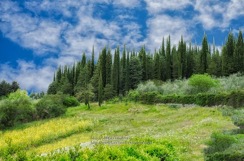 naturaleza landscape italia paisaje toscana