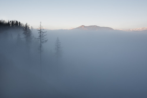 christmas winter mountains tree fog forest sunrise 35mm canon austria holidays sigma balance styria 2015 frauenberg 5d3