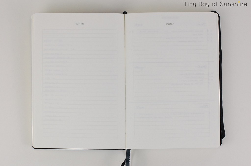 Thorough Guide to the Bullet Journal System — Tiny Ray of Sunshine