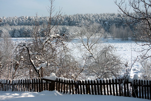 trees winter snow cold tree fence river garden landscape fuji january sodas lithuania sniegas lietuva sausis ledas žiema upė sodyba tvora rivernemunas šerkšnas kraštovaizdis speigas janinaleonaviciene