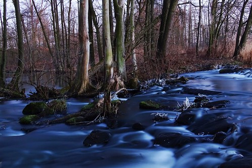 longexposure blue trees winter cold nature water night forest river poland polska grabia lodzkie łódzkie