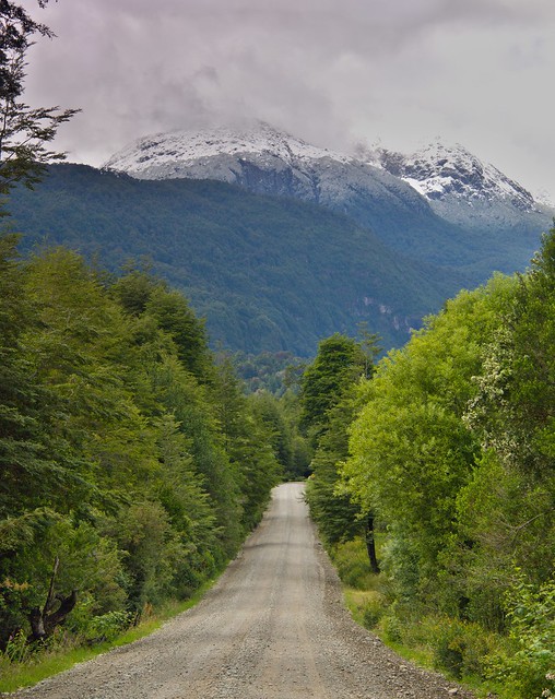 Ruta Austral: De La Junta a Puerto Aysén - Por el sur del mundo. CHILE (7)