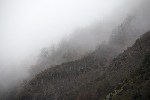 wild naturaleza mist mountain nature fog forest landscape asturias paisaje bosque montaña niebla salvaje fuentesdelnarcea riomolín
