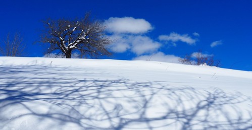 blue winter sky white snow mountains tree landscape colours olympus omdem10markii