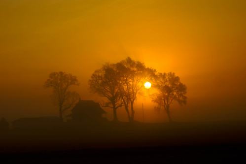 fog sunrise