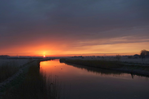 morning sky cloud sun reed netherlands field birds sunrise landscape dawn serene polder waterscaoe