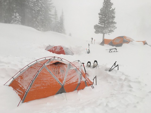 Ned, Beth's and Bob's tents