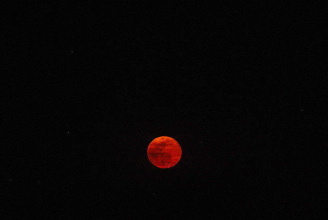 The moon can sometimes appear red or orange low on the horizon 