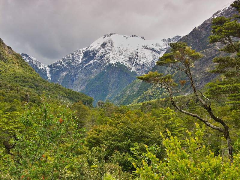 Ruta Austral: De La Junta a Puerto Aysén - Por el sur del mundo. CHILE (22)