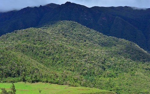 desktop peru southamerica landscape jungle andes cloudforest lush featured northernandes chachapoyasdistrict